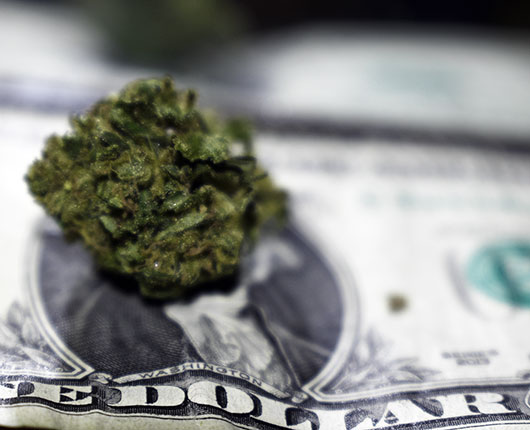 Constitutional Cannabis front-image